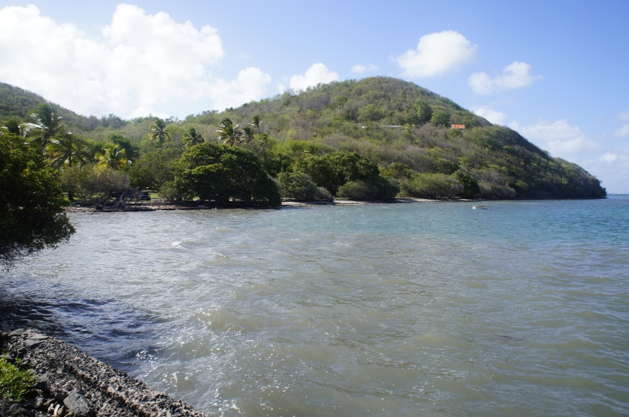 Photo de la plage de Baie-Coco (Pointe la Rose)