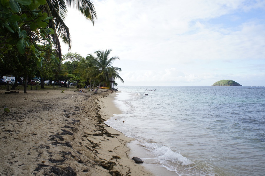 Photo de la plage de Anse Cosmy