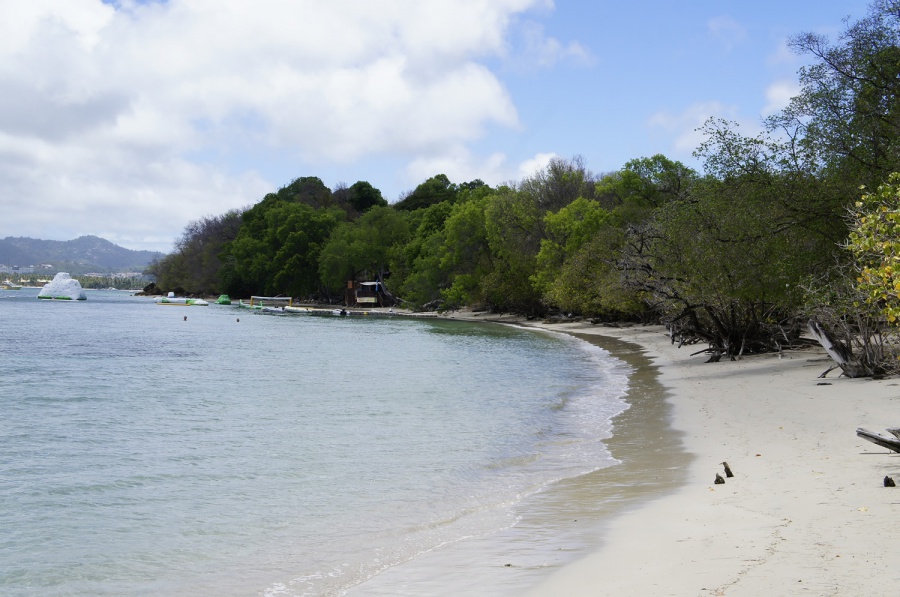 Photo de la plage de Anse Caritan