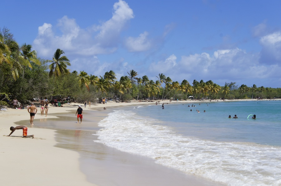 Photo de la plage de Grande anse des Salines