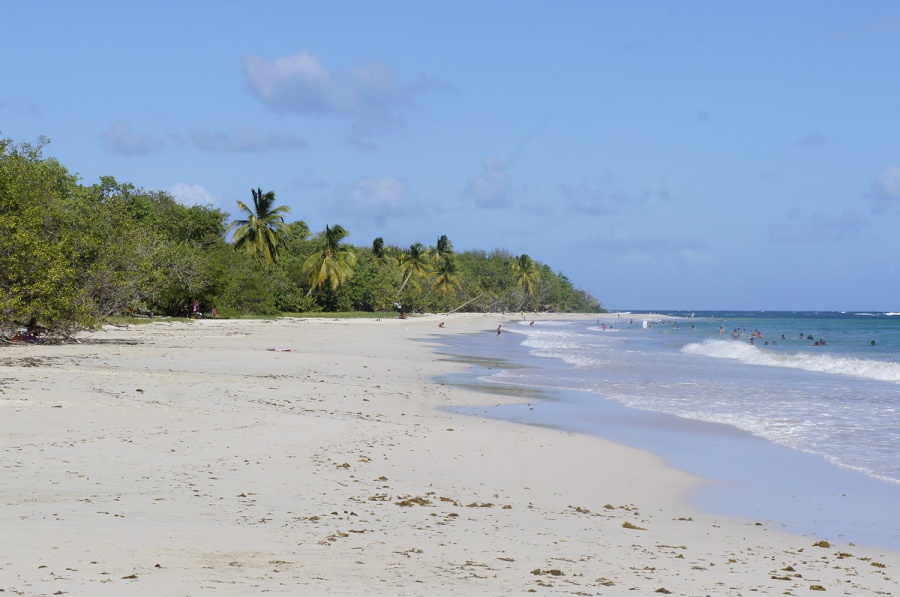 Photo de la plage de Grande terre des Salines & Anses à Prunes
