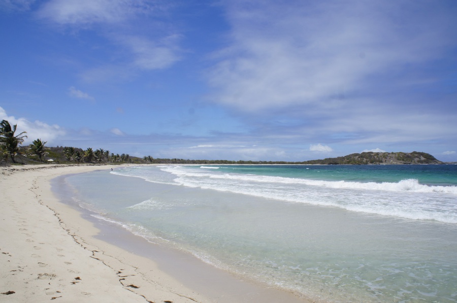 Photo de la plage de Anse Trabaud