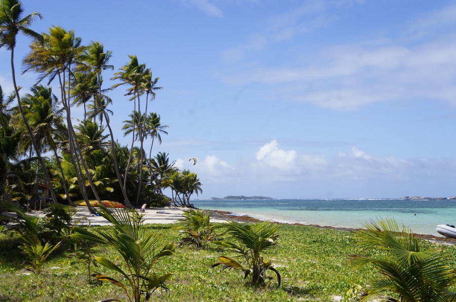 Photo de la plage de Anse Michel (Cap Chevalier)