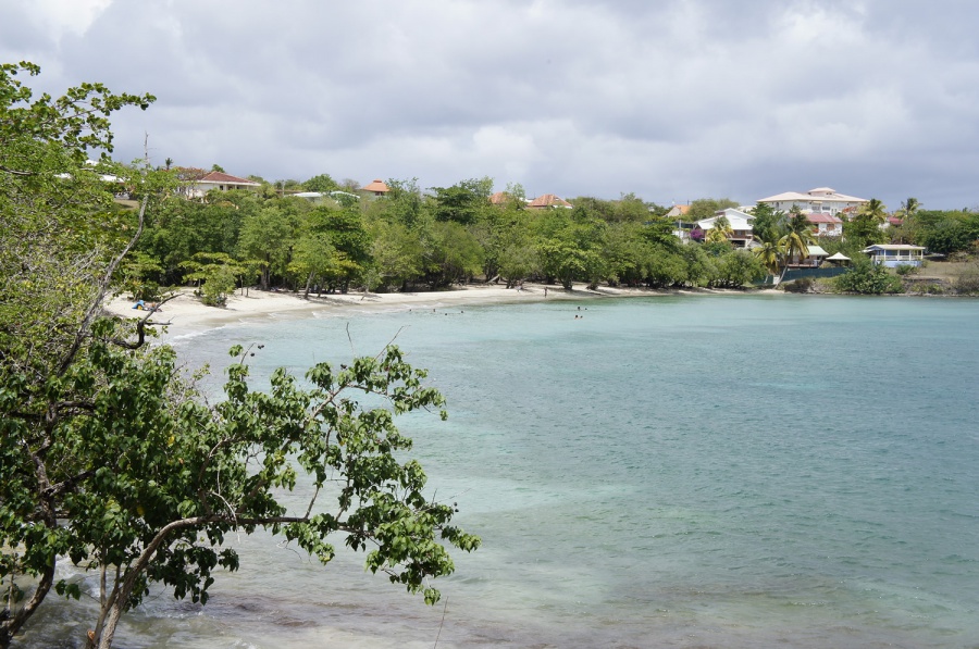 Photo de la plage de Anse Mabouya