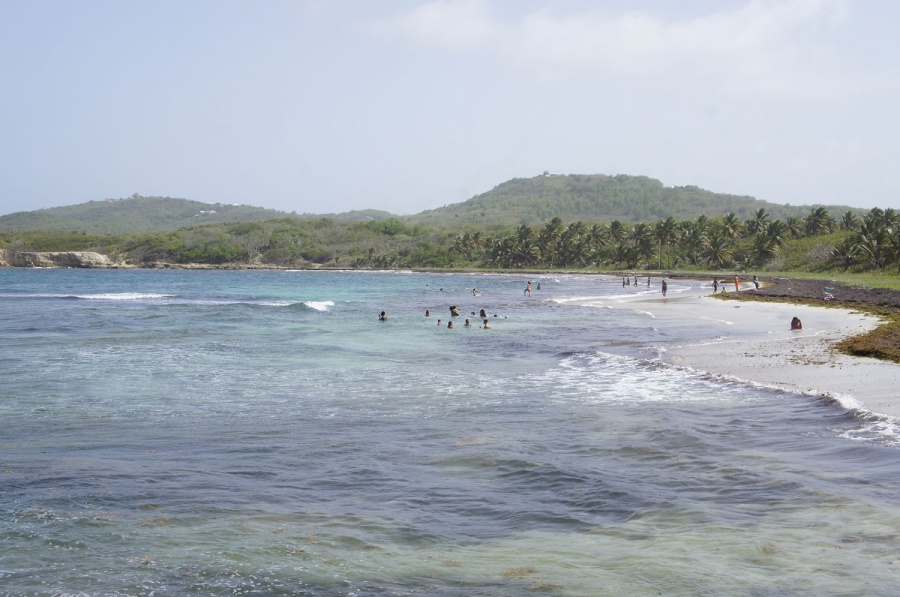 Photo de la plage de Petit Macabou