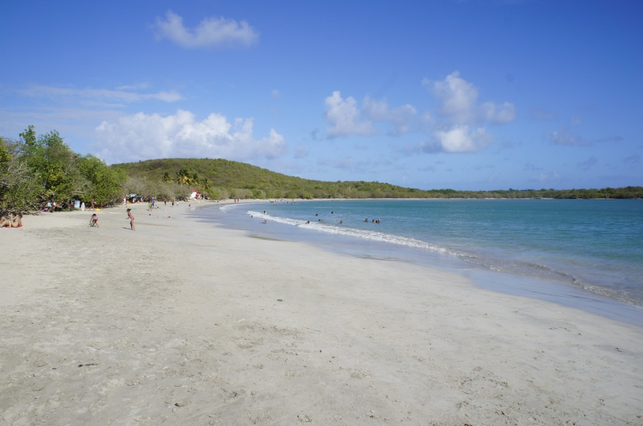 Photo de la plage de Anse Meunier (Anse Moustique)