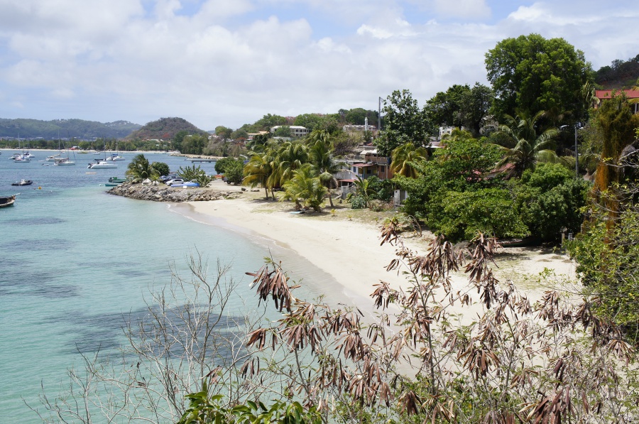 Photo de la plage de Anse Tonnoir